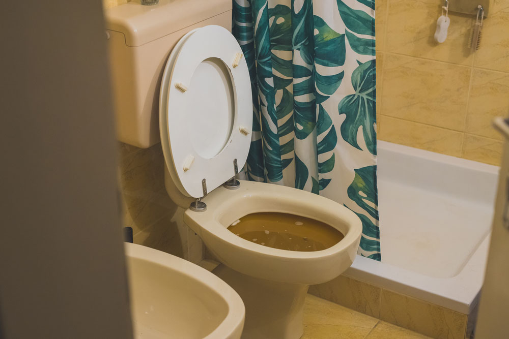 sewage backing up out of toilet