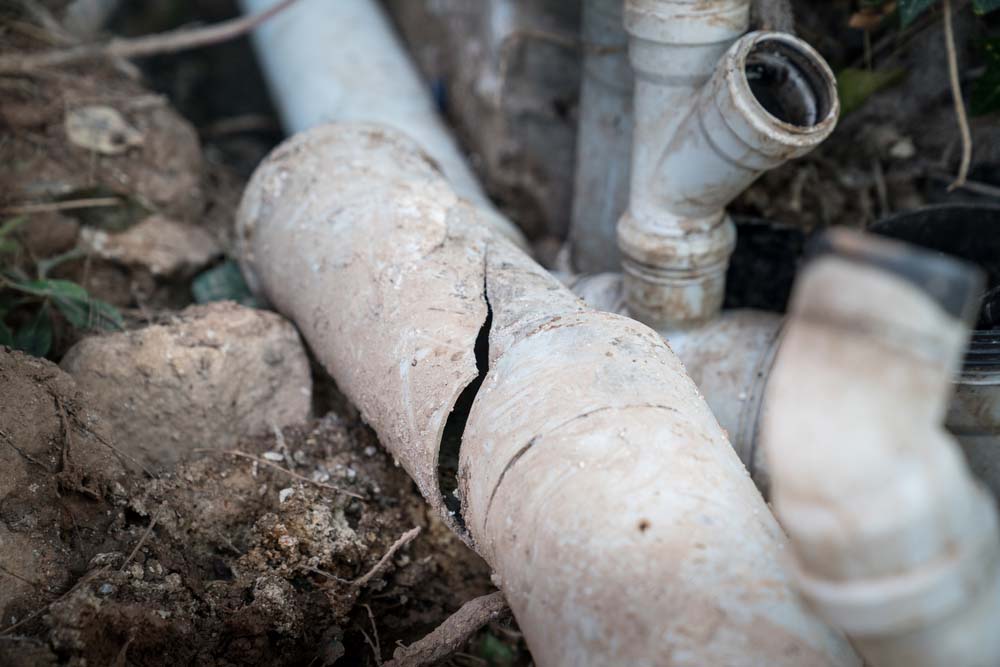 Damaged sewer line