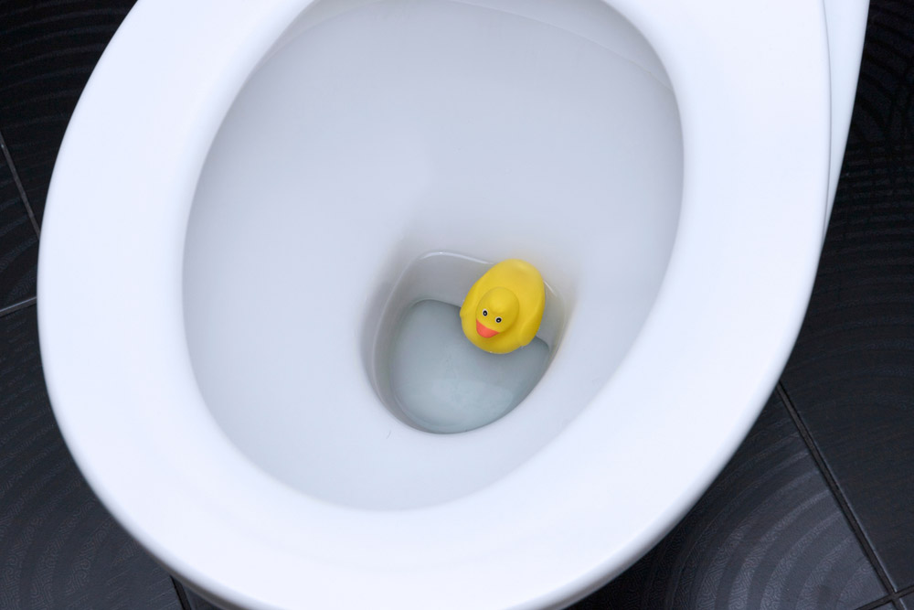 toy in a toilet